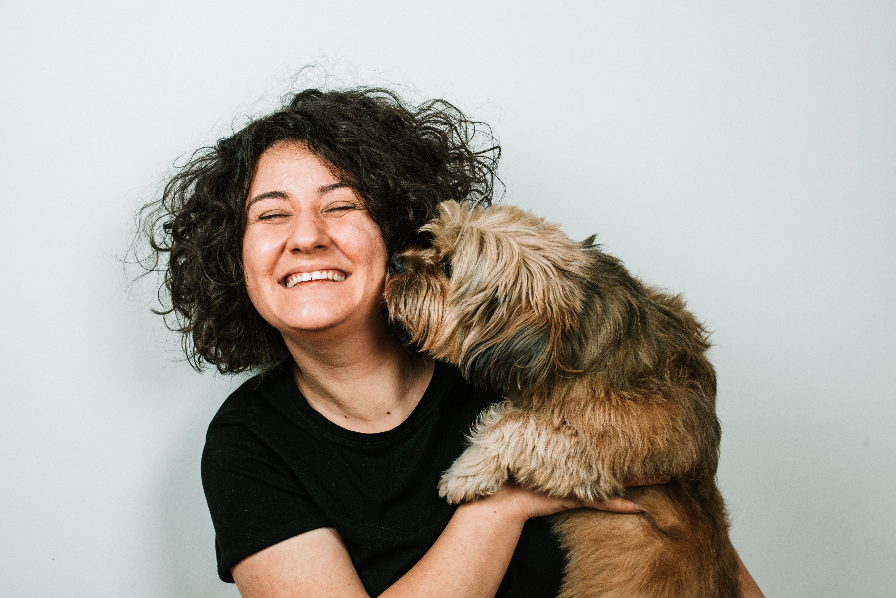 Hairy dog kissing woman in black shirt