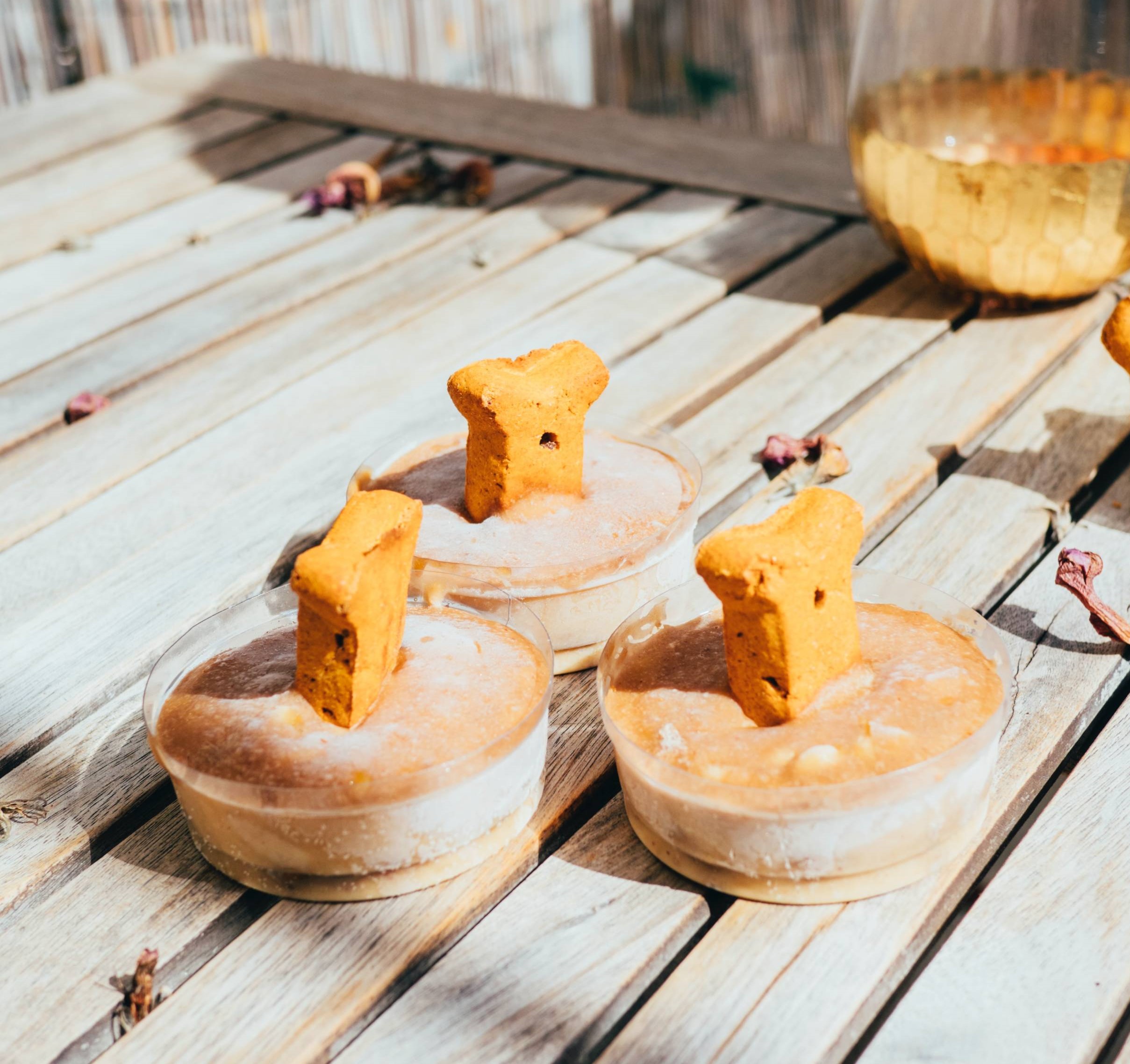 dogs treats on wooden table