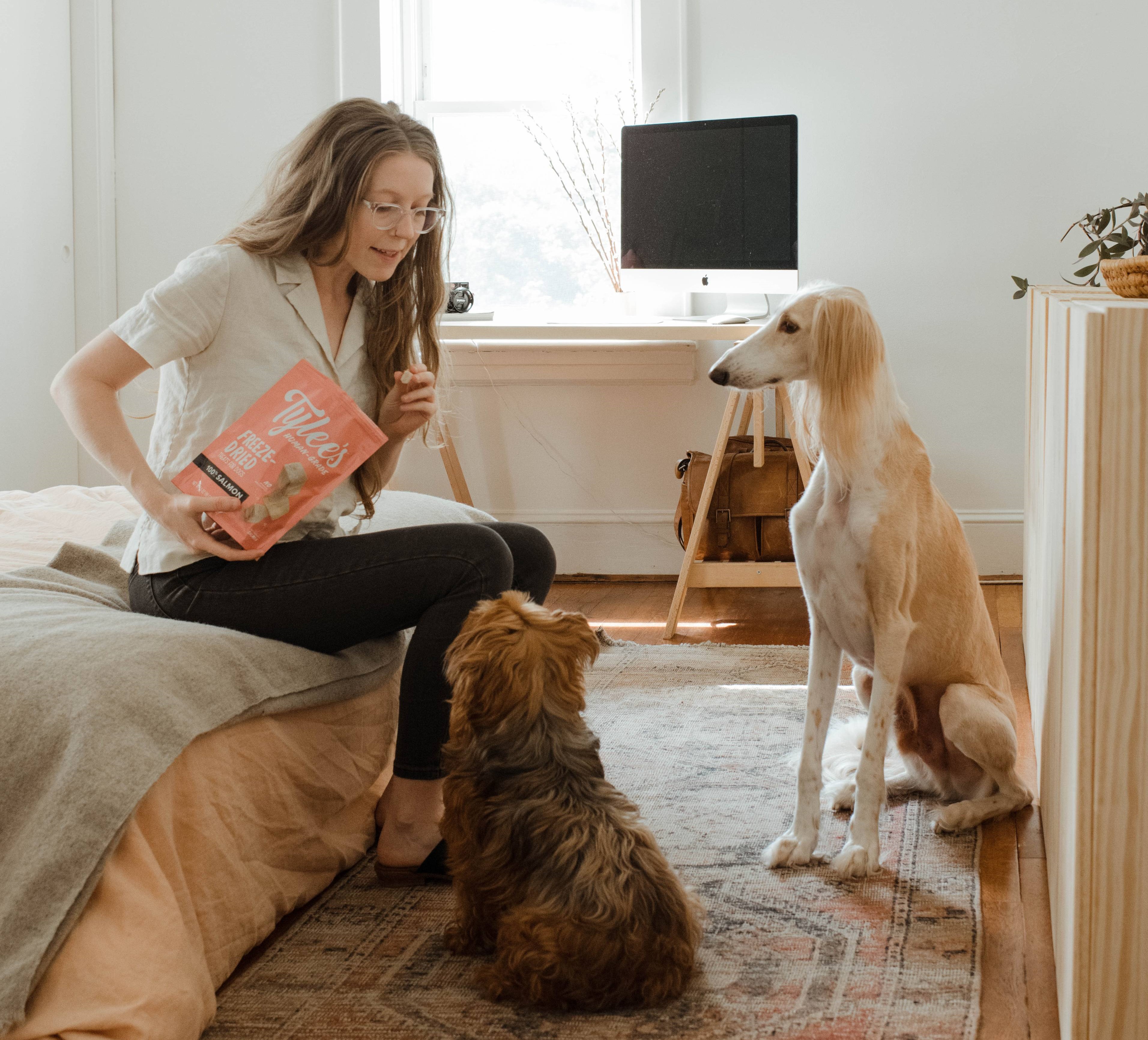 woman gives biscuits to two seated dogs